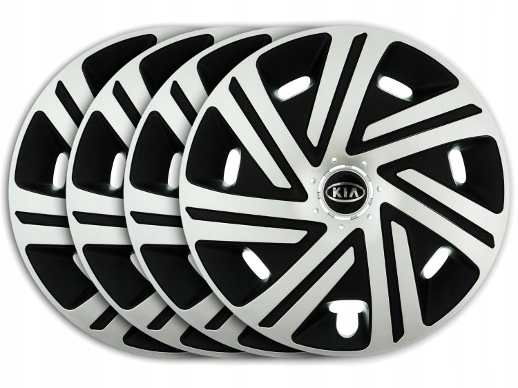 6c4a160241198c8dcd77e89ec1a5