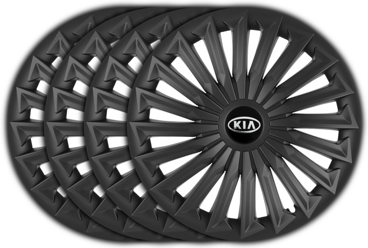 b9132248d1495500425d44bc1efd09a4